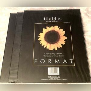 MCS Format Set of Three 11 x 14 Inch Frames NWT
